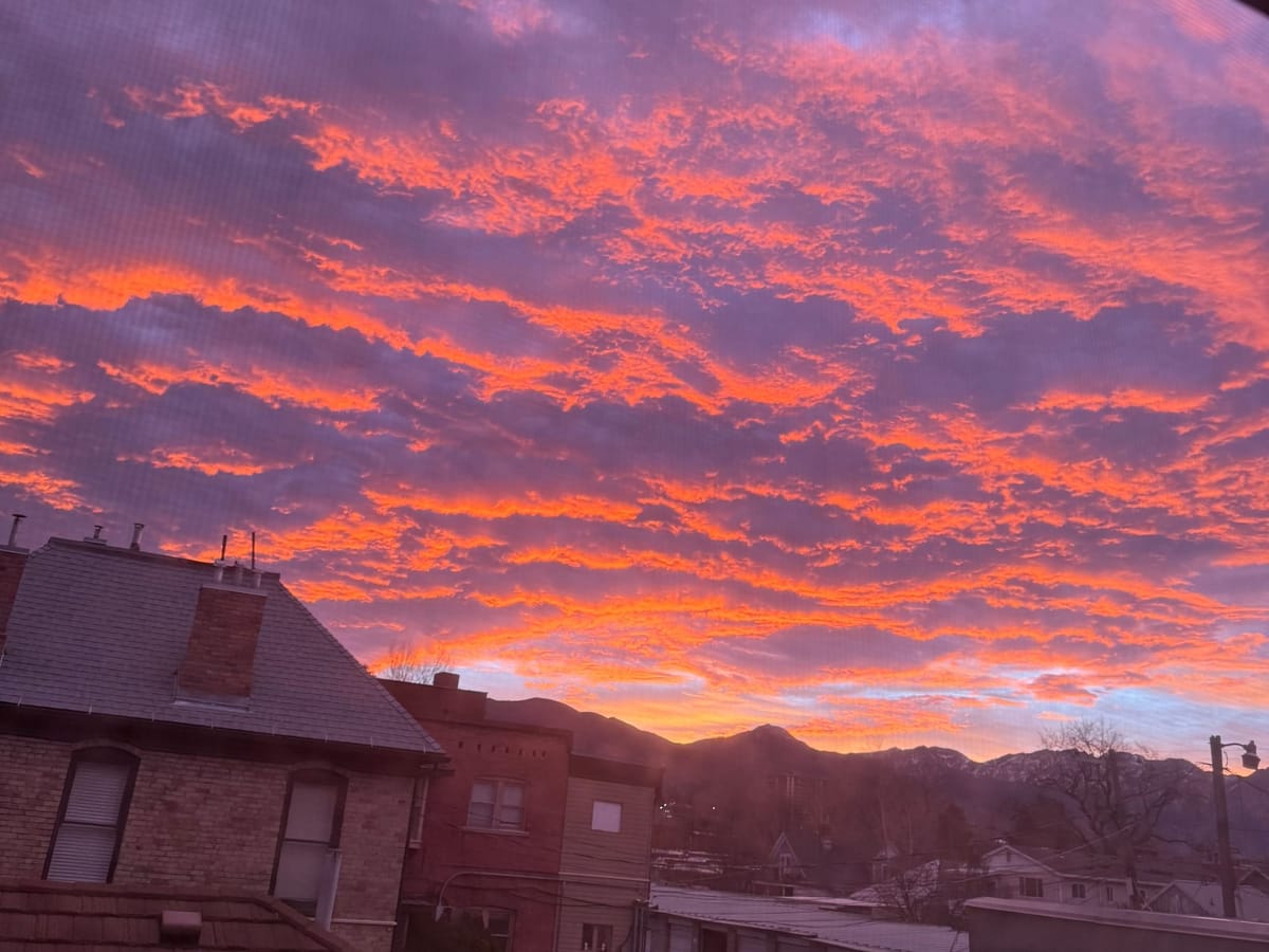 Seeking to Understand