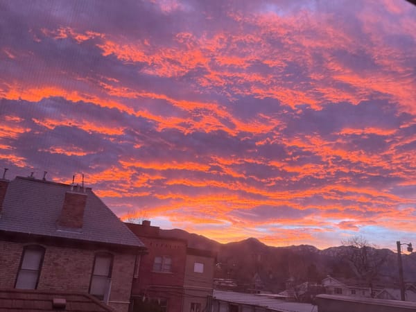 Seeking to Understand